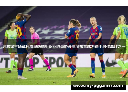 弗赖堡主场草坪质量获德甲职业球员协会高度赞誉成为德甲最佳草坪之一